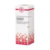 DHU Harpagophytum procumbens D4 Dilution, 20 ml Lösung