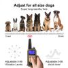 2 Collar Set 2600 FT Remote Dog Shock Training  Rechargeable Waterproof LCD Pet