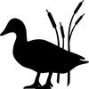 Duck Vinyl Decal Sticker for Car/Window/Wall (White Gloss)