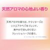[Bulk Purchase] Cinderella Time Nano Cleansing Gel F Makeup Remover, Facial Cleanser, Formulated with Institutional Serum Ingredients, Sensitive Skin Type, W No Facial Cleansing Required, 10.6 oz (310 g) x 2 Packs Kobayashi Pharmaceutical