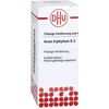 DHU Arum triphyllum D2 Dilution, 20 ml Lösung