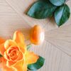 Yoni Egg in Yellow Aventurine – Large – Hole