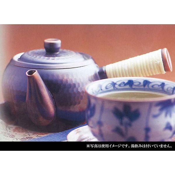 Asahi Food Raku Kobo Yokote Teapot with Strainer CB526S