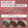 Cielo Color Treatment for Retouch, Natural Brown, 4.9 oz (140 g)