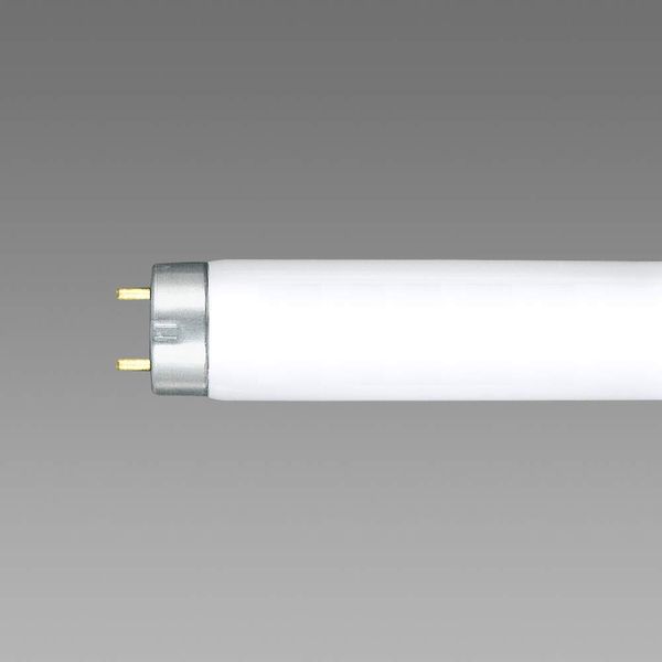 NEC Lifeline 10W Shape FL10W