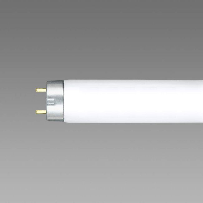 NEC Lifeline 10W Shape FL10W