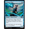 Exclusion Mage - Foil