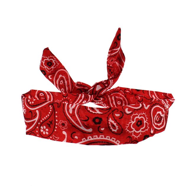 Zac's Alter Ego Paisley Design Vintage Look Wire Headband