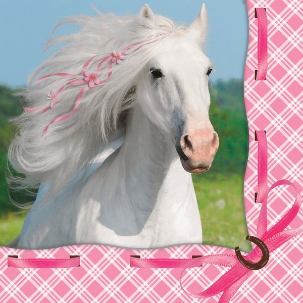 Heart My Horse Party Napkins (Pack of 16)