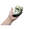 Mineral Calcium Supplement Additive Oyster Shell 7.1 oz (200 g)