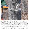 DELUXE Chain sharpening logging Felling Bucking Tree Forestry Spiked Wedges
