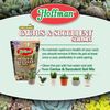 Hoffman Cactus And Succulent Mix 4 Quart Ready To Use Potting Soil