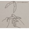 Pearl Metal C-966 Seasonal Choice Crab Split