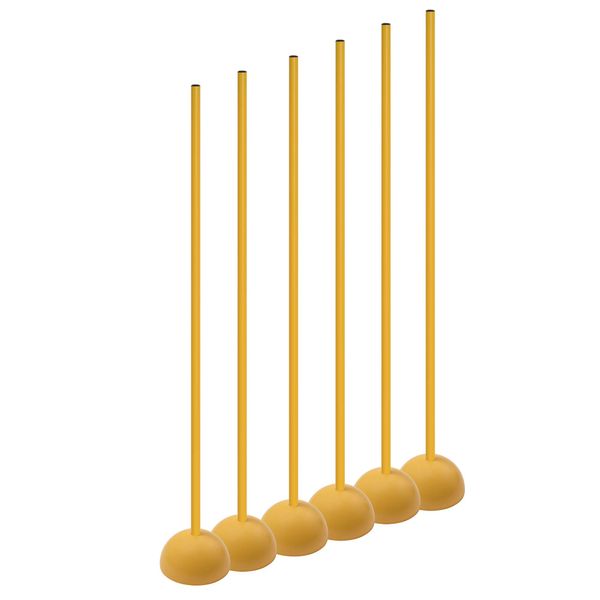 Champion Sports Coaching Sticks with Base Set