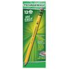 DIX33312 - Ticonderoga Pencil with Eraser