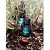 Rosemary Organic Essential Oil