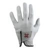 Payntr X Golf Glove - Regular Fit, Left Hand X Large