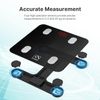 Bluetooth Body Composition Smart Scale with 13 Metrics - Easy Health Tracking