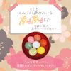 Konjac Shabon Kamakura Konjac Shabon Soap, 2.8 oz (80 g), Facial Cleansing Soap, Ceramide Formulated (Additive-Free, Rough Skin, Moisturized), For Dry and Sensitive Skin