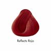 Kuul Color Reflects ROJO RED Vermelho 3.04 oz Developer Included