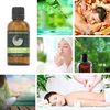 Cedarwood (China) 100% Essential Aromatherapy Oil 50ml