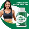 Lipo Corpus-Digestive Support- 4 Bottles- 240 Capsules