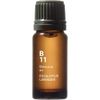 Botanical Air (botanikaruea-) B11 Eucalyptus Lavender 10ml
