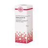 DHU Dolichos pruriens D6 Dilution, 20 ml Lösung
