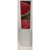 KOCOSTAR Slice Hydration Sheet Watermelon 12 Sheets new in box
