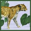 Natural History Museum Tiger & Leopard 8 Square Notecards Wallet