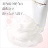 Pearl Skin Extra Series Face Wash & Lotion & Serum & Emulsion Skin Care Set 120g & 150ml & 30ml & 120ml