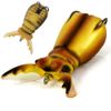 MOLIX Topwater Soft Body Lure SUPERNATO BEETLE