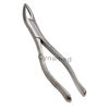 German Stainless Steel EXTRACTING Forceps #151 Dental Surgical Instruments