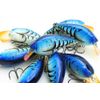 LUCKY CRAFT LC 2.5 Silent (349 Magic Blue Craw)