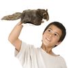 Folkmanis Flying Squirrel Hand Puppet, Brown