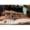 WINDALF Daniu Earrings 3.6 cm Onyx Bronze, Fabric jewellery bag, Onyx