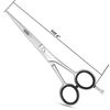 Professional Stainless Steel Hairdressing Scissors