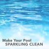 Puri Tech Chemicals pH Plus 10 lb Resealable Bag for Pools & Spas Increases pH