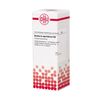 Berberis aquifolium D6 DHU Dilution, 20 ml Lösung