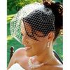 IVORY Couture Birdcage Bridal Face Veil on Comb