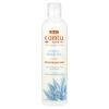 Weightless, Smooth + Hold Gel, Medium Hold, For Waves and Curls, 10 fl oz (295