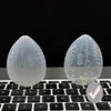 EliteKoopers 1Pcs Clear Egg Shape Sponge Stand Storage Case Makeup Blender Puff Holder Drying Box Makeup Sponge Holder
