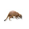 Meerkat 5 inch Static Cling