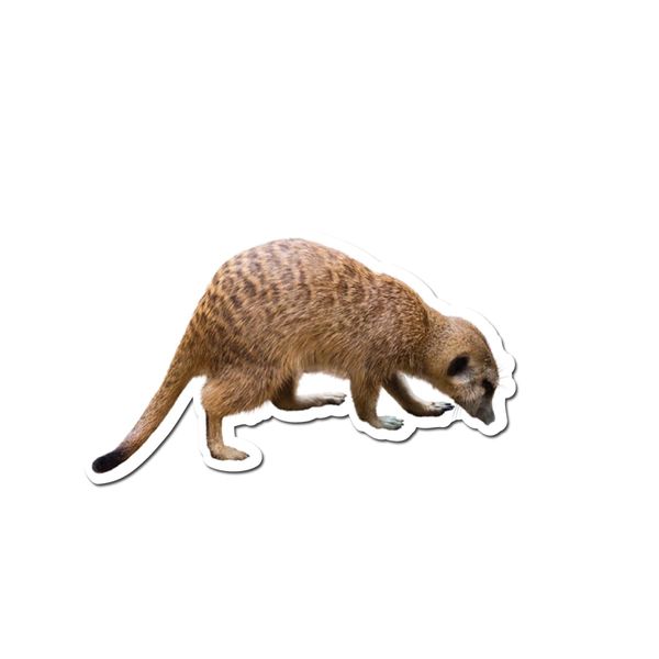 Meerkat 5 inch Static Cling