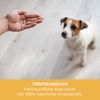 Sensipharm Smooth Locomotion for Dogs