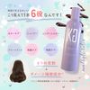 Kyogoku ダークグレージュ カラーシャンプー ブルベ冬 業界初 パーソナルカラー診断 人気ランキング 殿堂入り 美容室専売品 ギフト ダメージ補修シャンプー サロン専売品 リンゴ幹細胞培養液配合 色落ち防止 ムラシャン (ブルベ冬 ダークグレージュ【シャンプー】)