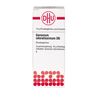 Geranium odoratissimum D6 DHU Globuli, 10 g GLO