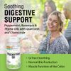Solaray - Peppermint Oil, 60 softgels