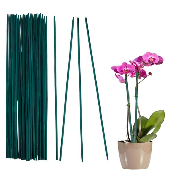 Plant Support Sticks - 30Pcs 30cm Weather Resistant Plant Stick Floral Sticks Garden Sticks for Pea Vegetables Support