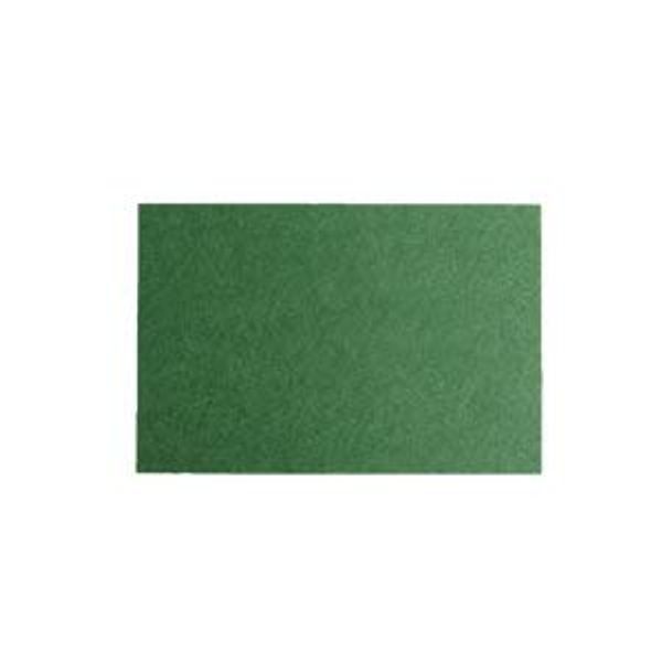 100 Sheets Green Perch Paper Perch Aged Fish Aged Meat Preserved Paper Preservation Paper Absorbent Paper Tissue Paper 100 Sheets